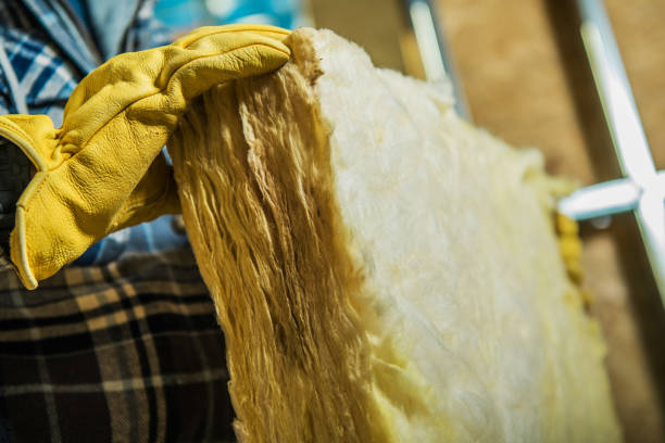 Best Insulation Materials and Products in Magnolia, TX